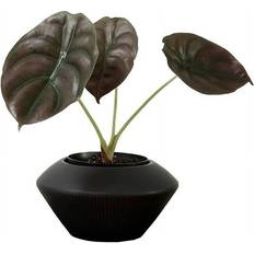 Pots, Plants & Cultivation Admired Nature Ceramic Flower Planter Planter