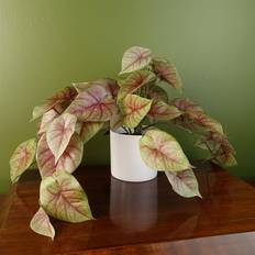 Leaf Caladium Potted Trailing Realistic Artificial Plant