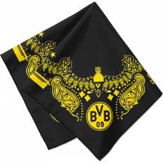 BVB Borussia Dortmund