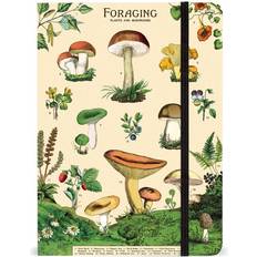Cavallini Foraging Large Notebook