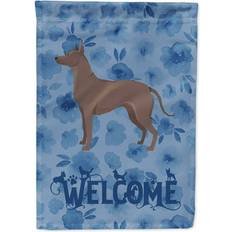 Garden & Outdoor Environment Caroline's Treasures King Spaniel Welcome