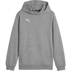 Kinderbekleidung Puma Jungen Teamgoal Casuals Hoody Jr Pullover