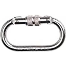 Screwgate Carabiner Silver