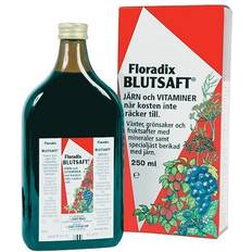 Salus floradix Floradix Kräuterblut Urte-jern Mikstur 250ml