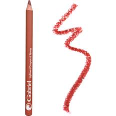 Gabriel Lipliner Spice - 0.4 oz