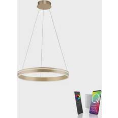 Paul Neuhaus Q-VITO Matt Brass Lampada a Sospensione 59cm