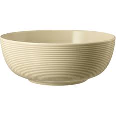 Mikrowellengeeignet Kleinere Teller Seltmann Weiden Foodbowl schüssel Kleinerer Teller 20cm