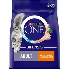 Purina ONE Pets Purina ONE ONE Adult Dry Cat Food Rich in Chicken 6kg,package may vary