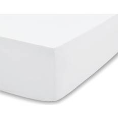 Bianca 200 Thread Count TENCEL Bed Sheet White