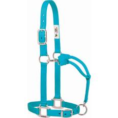 Turquoise Horse Halters Weaver Org Adj 1In Nylon Halter Turquoise