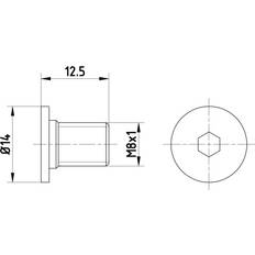 Pagid Brake Disc Accessory