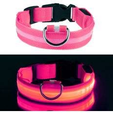 LED Hundhalsband Rosa Medium