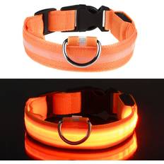 LED Hundhalsband Orange Small