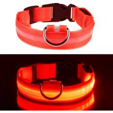 LED Hundhalsband Röd Medium