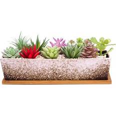 Succulent Plant Pots, 30 CM Long Succulent Plant