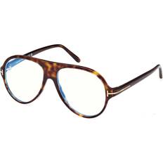 Blue Glasses Tom Ford 55MM Aviator Dark Havana Blue Dark Havana Blue one-size