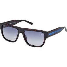Timberland TB9337 Polarized 52D Herr Mode Solglasögon - Havana Rök Fyrkantig