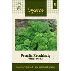 Impecta Persilja Krusbladig 'Moskrul 2'