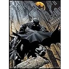 MDF Posters DC Comics FP11603P-PL Batman 30 X "Night Watch" Poster 30x40cm