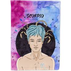 Garden & Outdoor Environment Caroline's Treasures BB7324GF Scorpio Zodiac Sign Flag