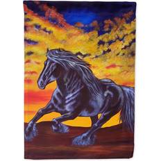 Garden & Outdoor Environment Caroline's Treasures AMB1241CHF Desert Wind Horse Flag