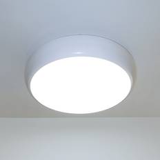 Eterna 14W Colour Ceiling Flush Light