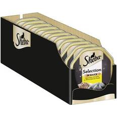 Sheba selection katzenfutter huhn sauce feine