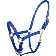 Blue Horse Halters Tabelo Tabelo Arab Nylon Halter w/Snap Arab Blue