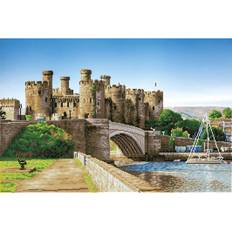 Diamond Paintings Diamond Dotz Â Intermediate Conwy Castle Wales Facet Art Kit Paint 19.69" x 29.53" MichaelsÂ Multicolor 19.69" x 29.53"