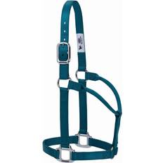 Turquoise Horse Halters Weaver Chrome Non-Adjust Nylon Halter Teal