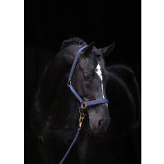 Covalliero TopLine Grimma DB/AB unisex