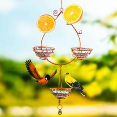 Joiedomi Oriole Bird Feeder Joie Domi Bird Feeder