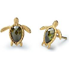 Paul Hewitt Örhängen Paul Hewitt Turtle Örhängen 18 kt Rostfritt Stål - Gold