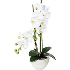 Keramik Künstliche Pflanzen orchidee phalaenopsis keramikschale Künstliche Pflanzen