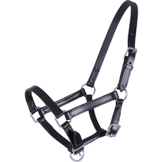 Horse Halters QHP Chico Leather Foal Headcollar - Black