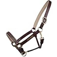 Cob Horse Halters QHP Lupine Headcollar Pony - Brown