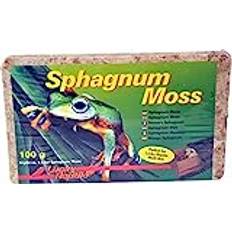 Lucky Reptile Sphagnum Moss 500