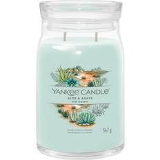 Yankee Candle Aloe & Agave Signature Large Jar 9.3 cm x 15.7 cm - Green Candela Profumata