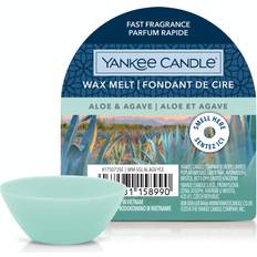 Yankee Candle Wax Melt Aloe & Agave