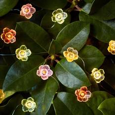 Lights4fun 20 Multi Coloured Rose Micro Fairy String Light