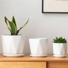 Tianfu Octagon Ceramic Plant Pots Flower Planter