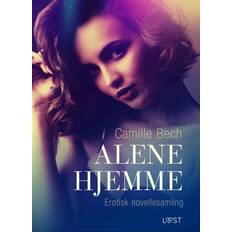 Alene hjemme – erotisk novellesamling Camille Bech (E-bok)