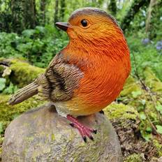 Molchadsky Robin on a Stone