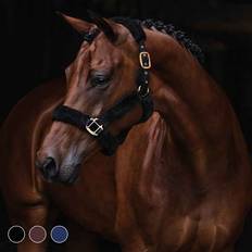 Hansbo Sport Grimmor Hansbo Sport Grimma SECURE brun Full