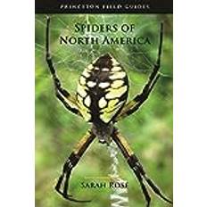 Spiders of North America: Princeton Field Guides