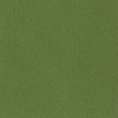 Bazzill Mono Cardstock 12 X12 -Nixon/Canvas
