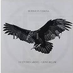 Vultures Above Lions Below (CD)