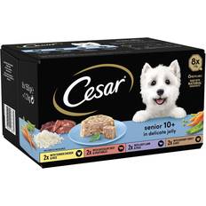 Cesar 10+ Wet Dog Food Senior Dogs Lamb