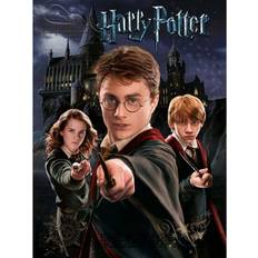 Harry Potter Canvas Print