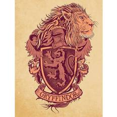 Harry Potter Gryffindor Canvas Print